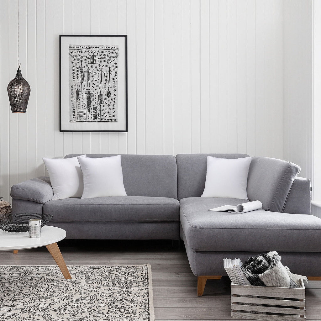 COOKEY 20 x 20 Throw Pillow Inserts(Set of 4),Indoor White Square Decorative Pillows for Couch & Bed