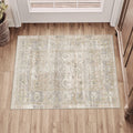 BERTHMEER 8'x10' Area Rugs for Living Room Bedroom Office Dining Room Farmhouse Large Brown Rugs Vintage Oriental Traditional Distressed Non Slip Washable Rugs Carpets